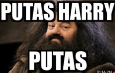 Captura de pantalla 2025-10-03 a la(s) 2.39.38 p.m..png