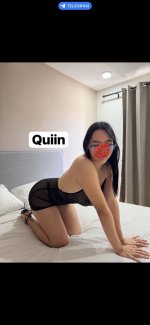 Quiin de liz (2).jpg