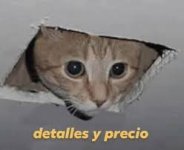 images (39).jpeg