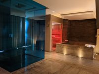 Picasso Jacuzzi+sauna combo.jpg