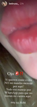 IMG_2219.jpeg
