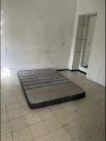 IMG_1387.jpeg IMG_1387.jpeg