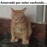 Hunter
